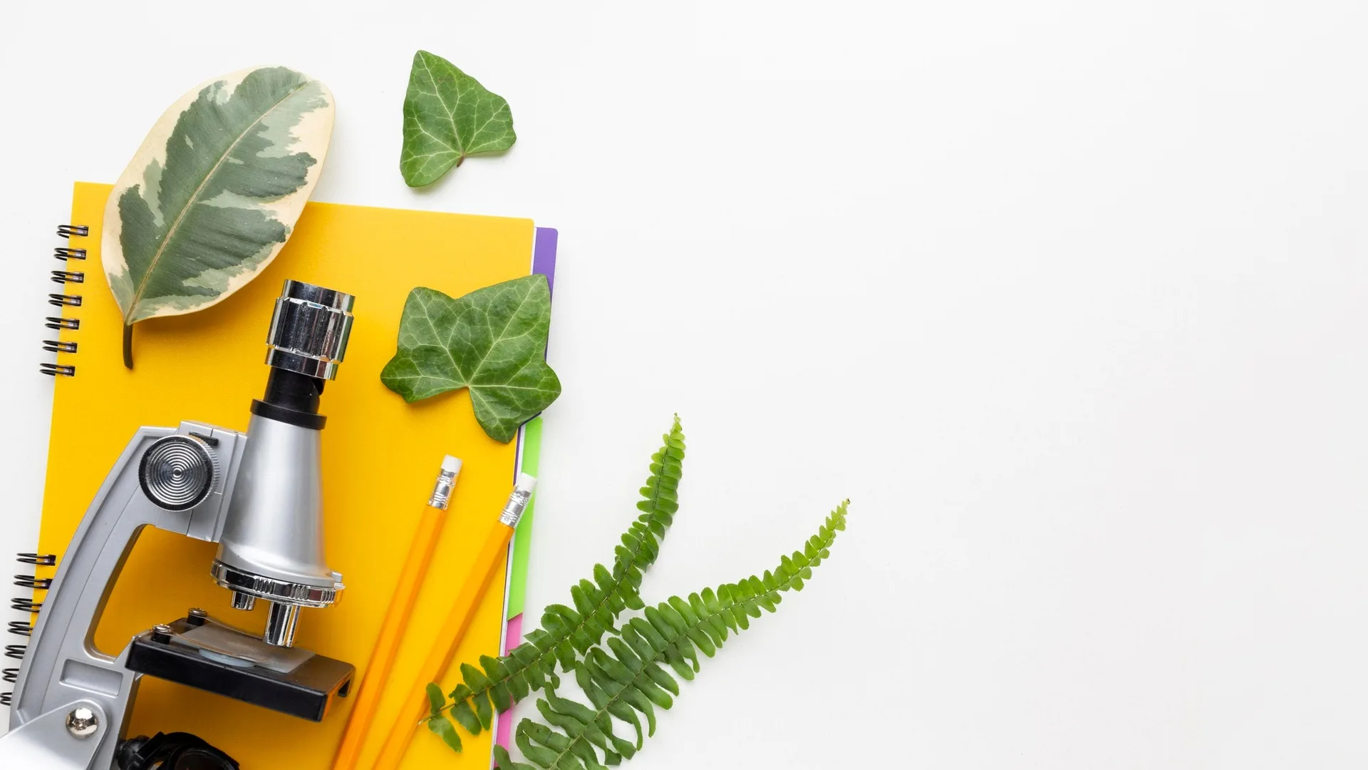 A microscope, notebook and plant leaves arranged for study