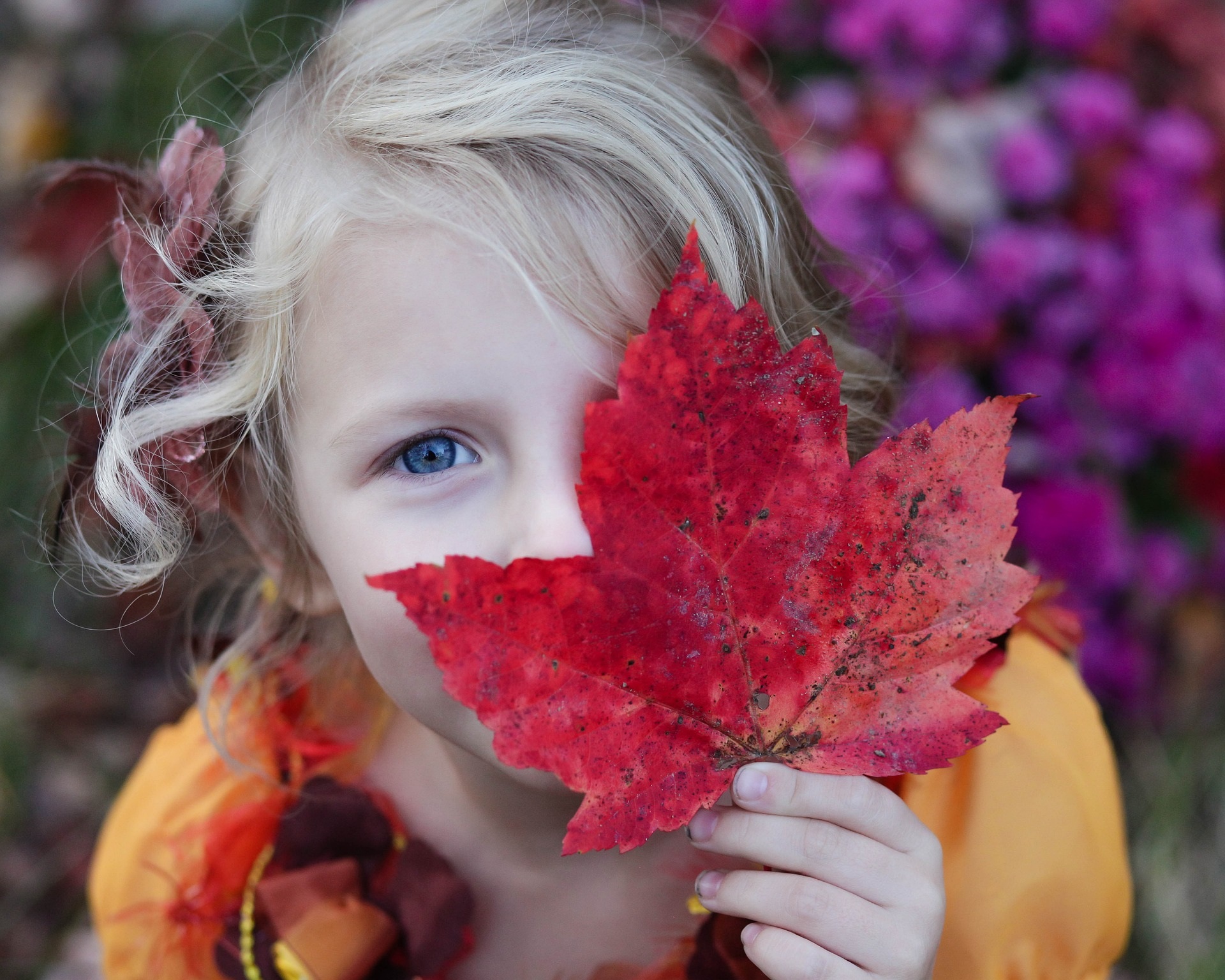 A child looking past a red autumn leaf