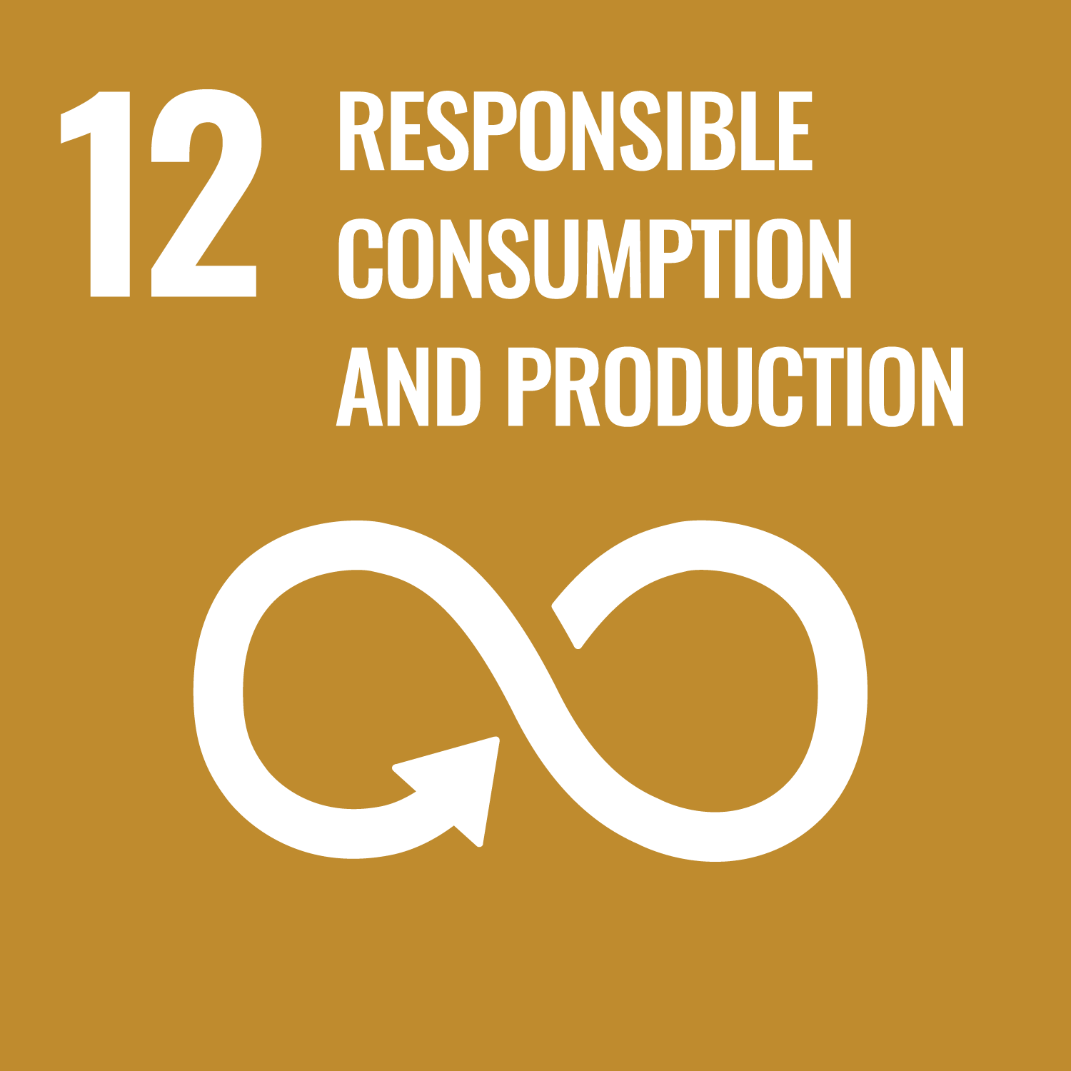 SDG 12: Verantwortungsvoller Konsum und Produktion