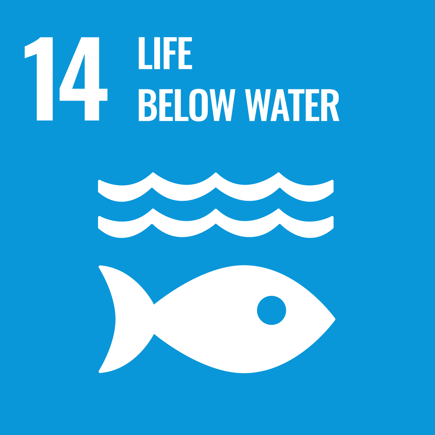 SDG 14: Leben unter Wasser