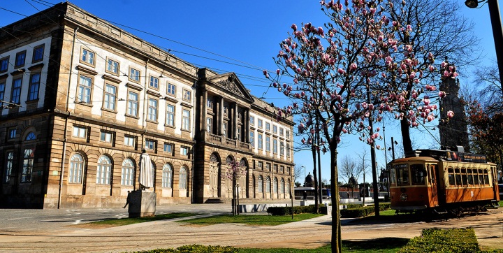 University of Porto building beside flowering trees and a tram