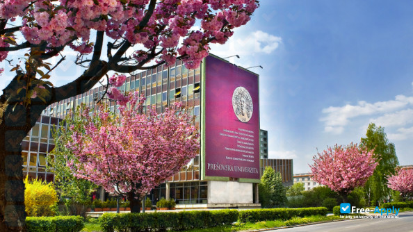 Campus de la University of Prešov con árboles en flor