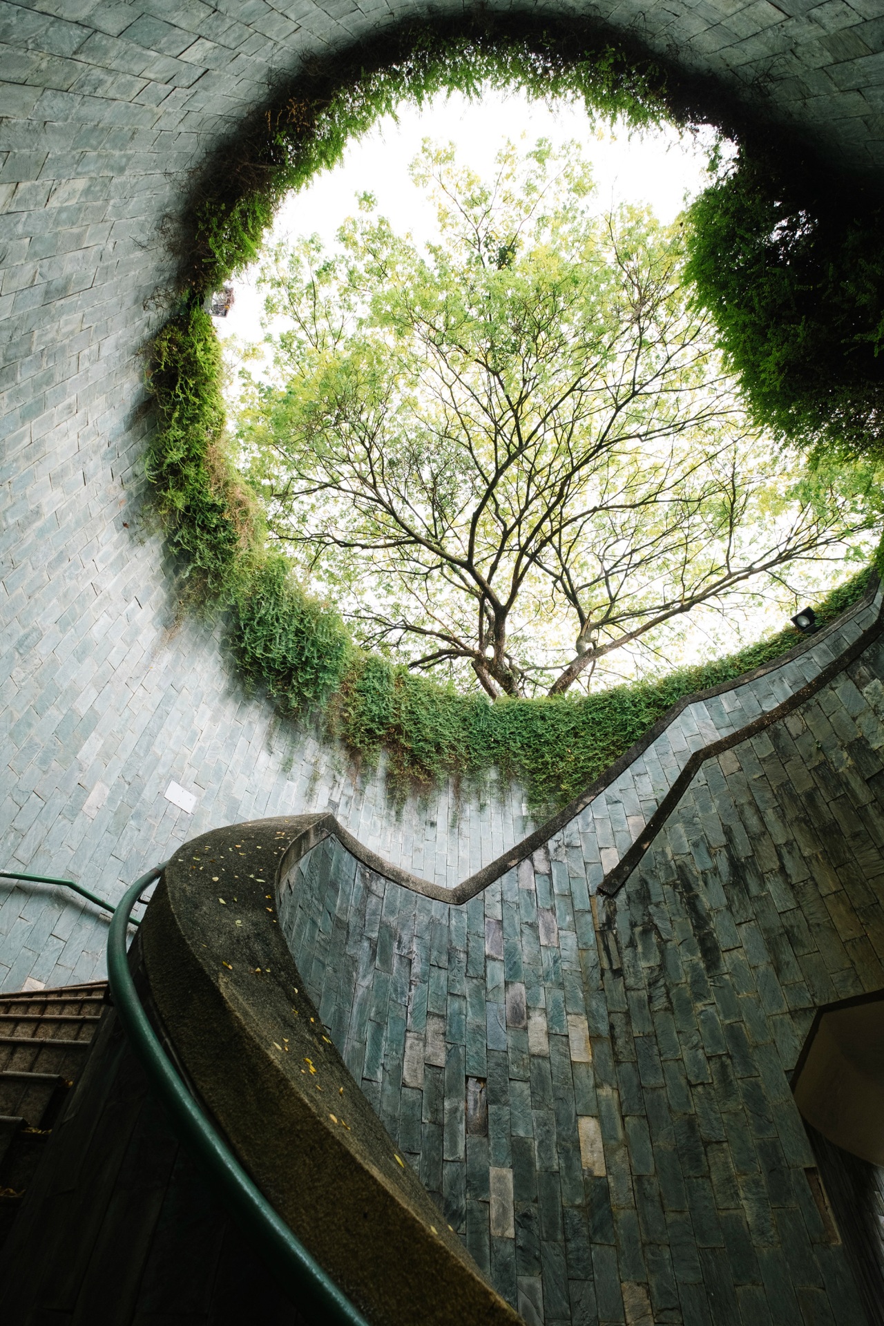 A tree canopy seen through a circular opening in a stone structure