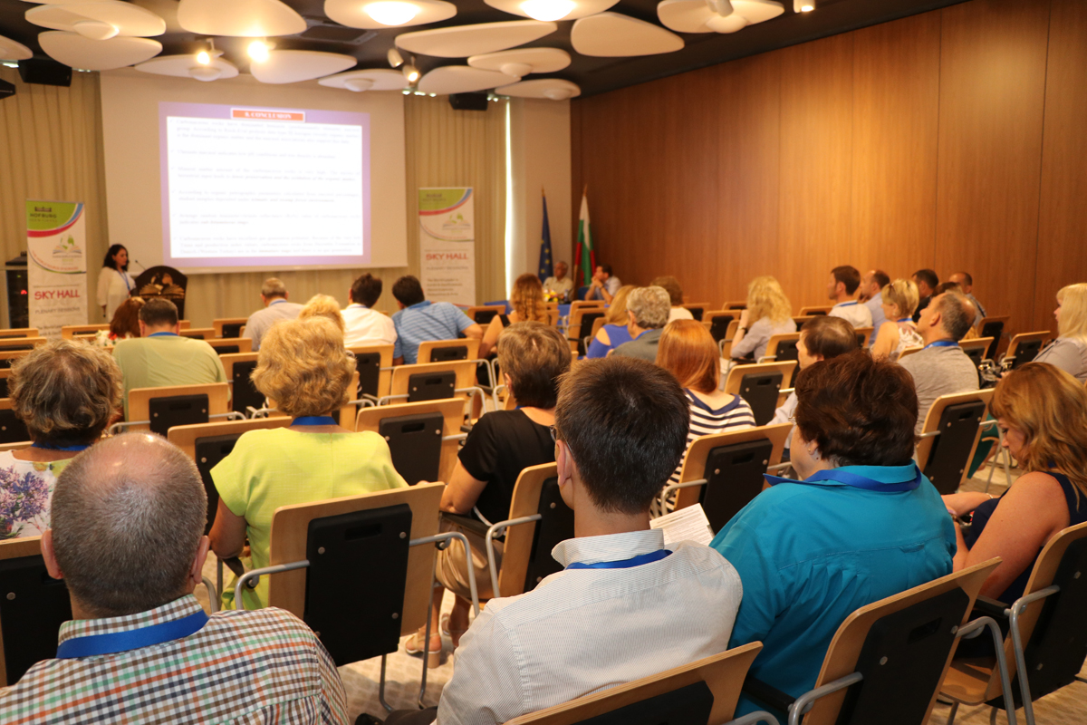 Rows of delegates listening to an SGEM scientific presentation