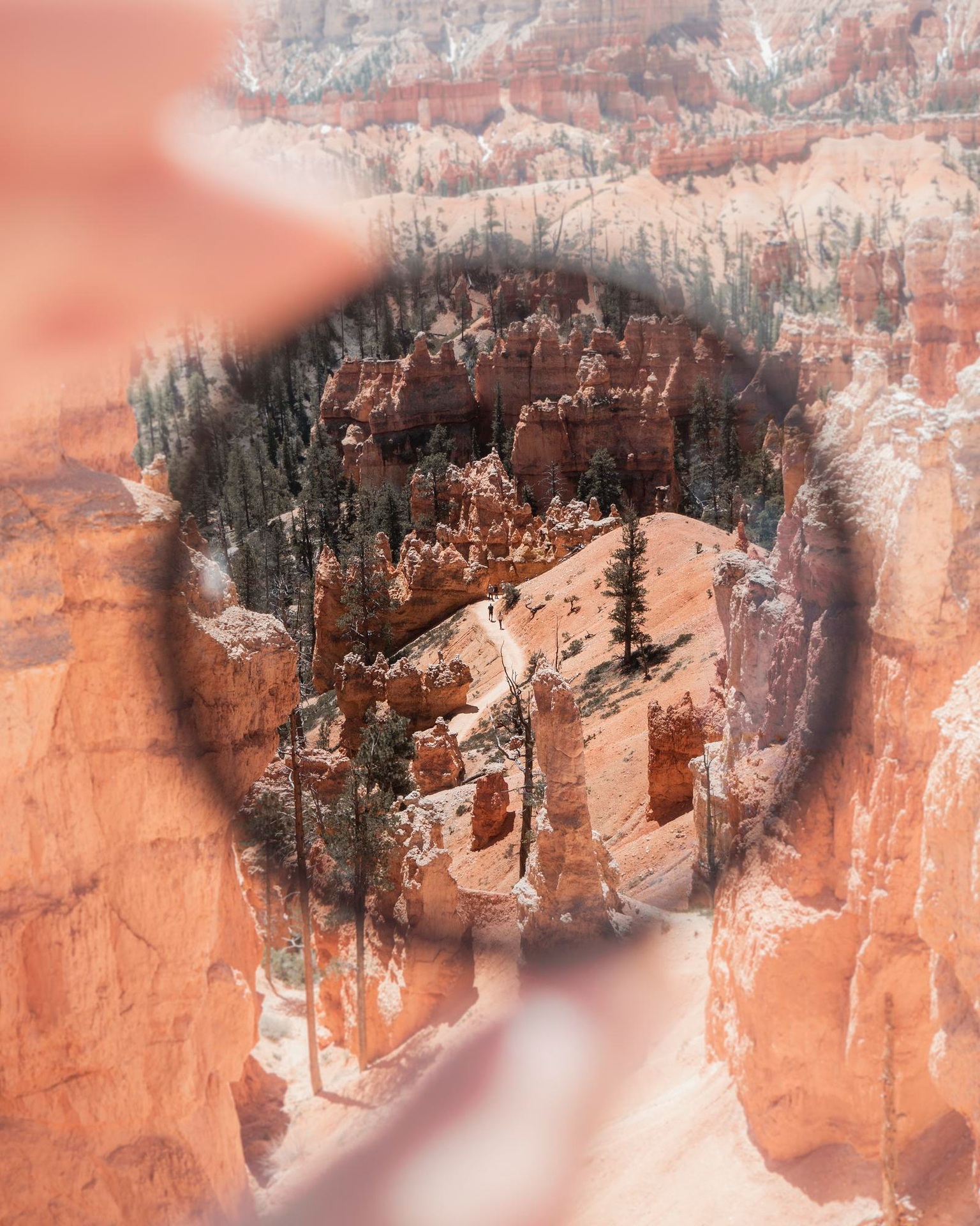 An eye blended with a landscape in a double-exposure image
