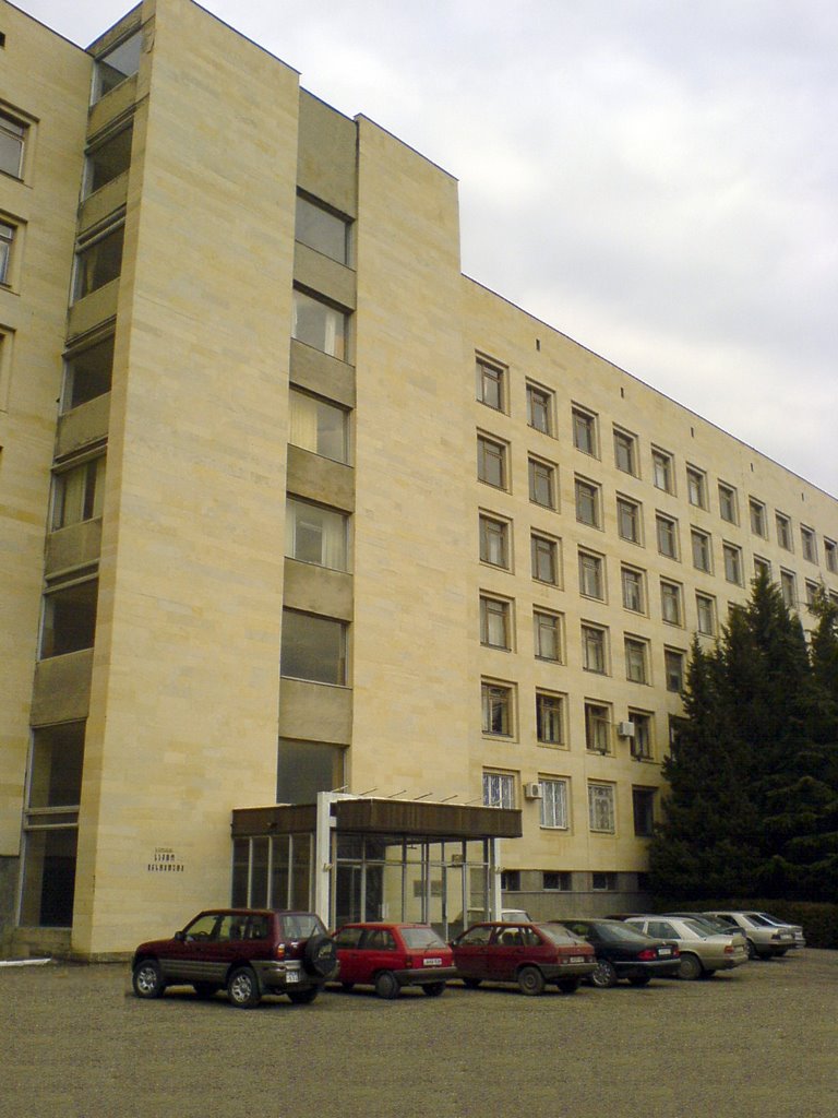 G. Tsulukidze Mining Institute building in Georgia
