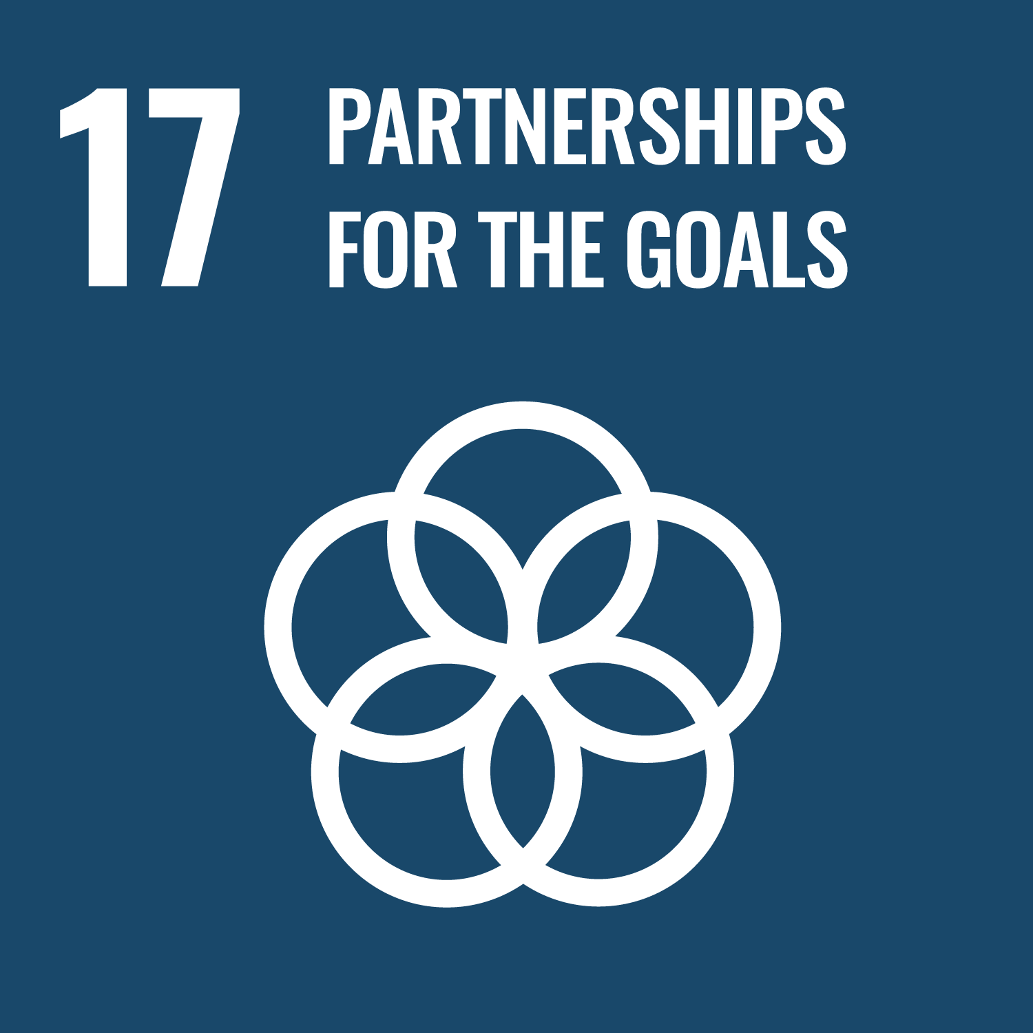 SDG 17：パートナーシップで目標を達成しよう